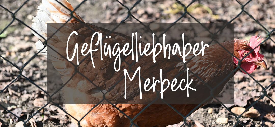 Geflügelliebhaber Merbeck | Jubelfete im Pfarrheim