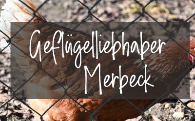 Geflügelliebhaber Merbeck | Jubelfete im Pfarrheim