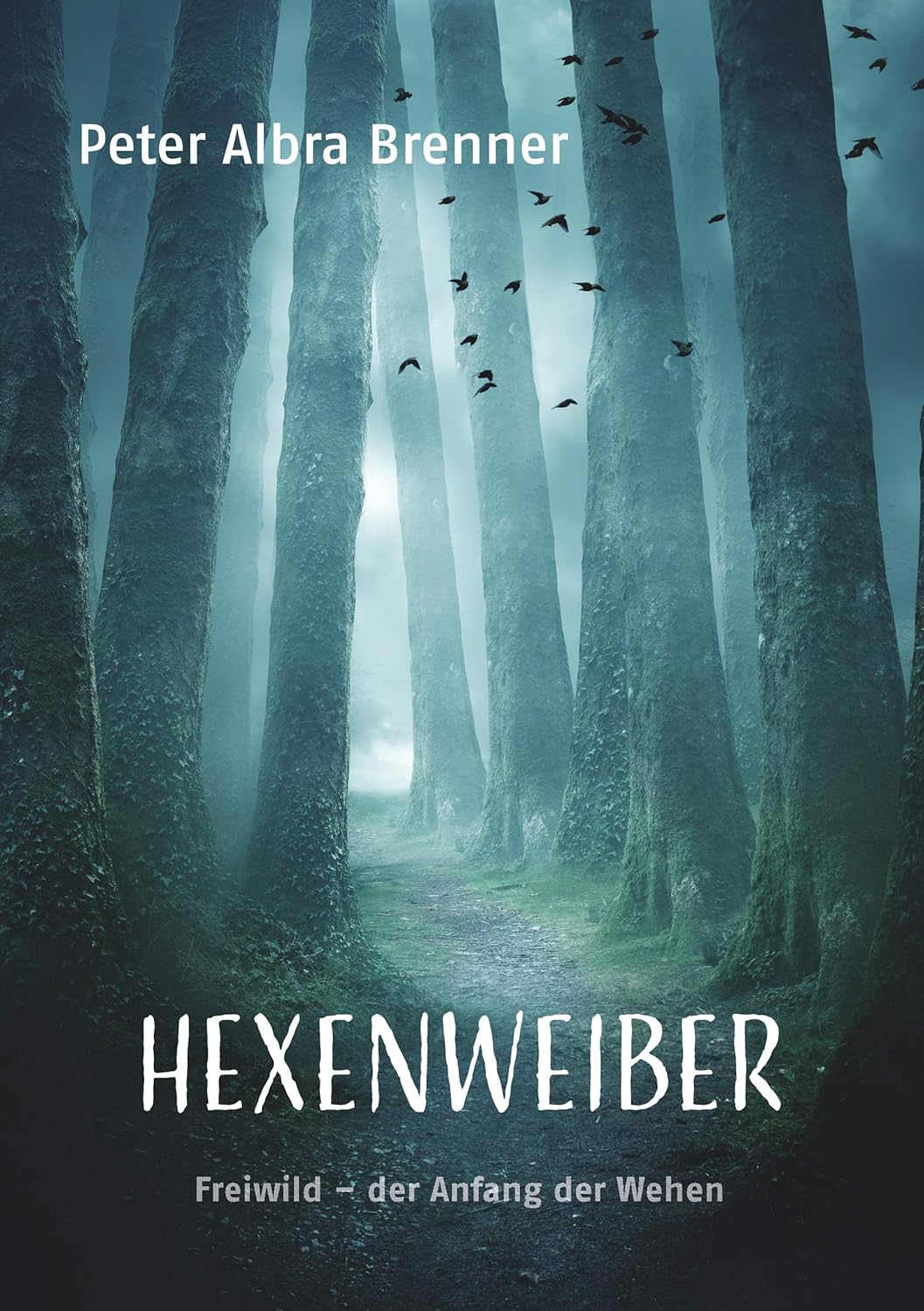 Hexenweiber Thiller von Autor Peter Albra Brenner aus Merbeck
