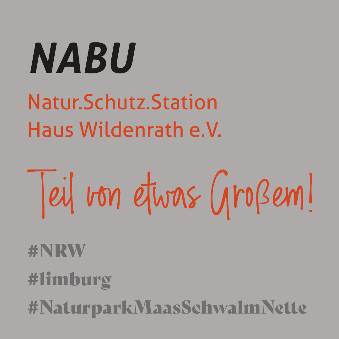 Naturpark Maas Schwalm Nette mit Merbec - Nabu | Teil von etwas großem