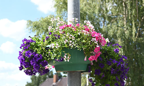 Dorfausschuss Wegberg Merbeck / Kreis Heinsberg / NRW | Aktion Blumenampeln 