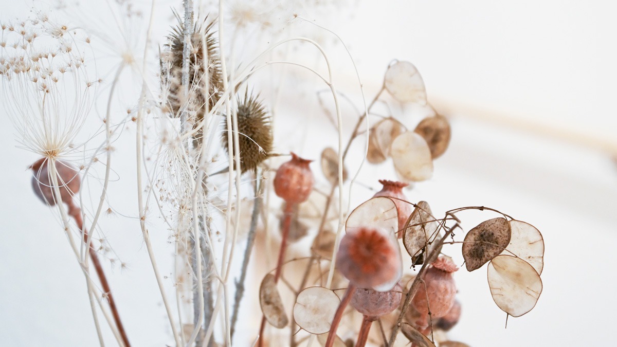 Seniorenwohnung in Wegberg Holtum / zwischen Erkelenz und Mönchengladbach. 64 qm 2 Zimmer und KDB mit Balkon | Style