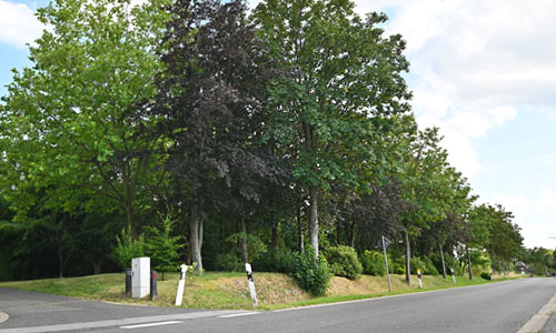 Tagespflege Haus Margret in Merbeck in Wegberg im Kreis Heinsberg, Nähe Erkelenz und Mönchengladbach feiert das Sommerfest 2026 gegenüber auf der Wiese