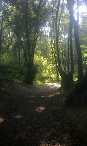 Schaurige Nachtwanderung für große und kleine Gruselfreunde durch den Tüschenbroicher Wald – mit Geschichten, Lagerfeuer, Liedern und Heißgetränk in Wegberg im Kreis Heinsberg / NRW